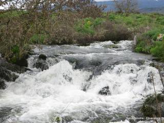 Favare santa Venera